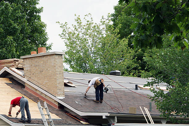 Best Roof Gutter Cleaning  in Nash, TX